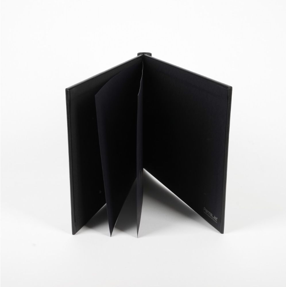 Snapshut Folio Black Landscape A4 25mm