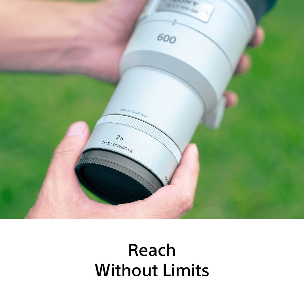 Sony FE 600mm F6.3 GM OSS
