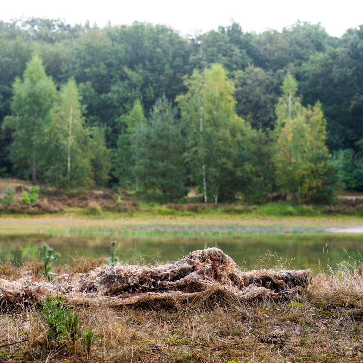 Caruba Kamuflasjenett Reed