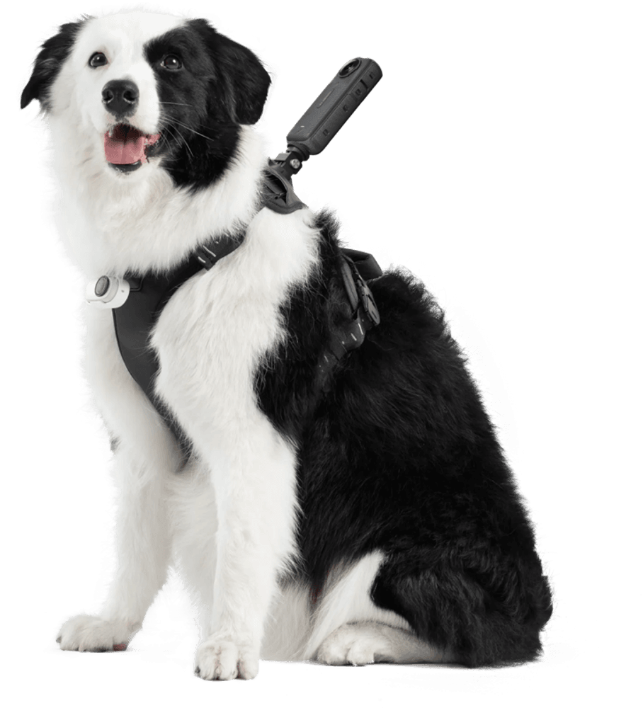 Insta360 Pet Harness Mount Size L