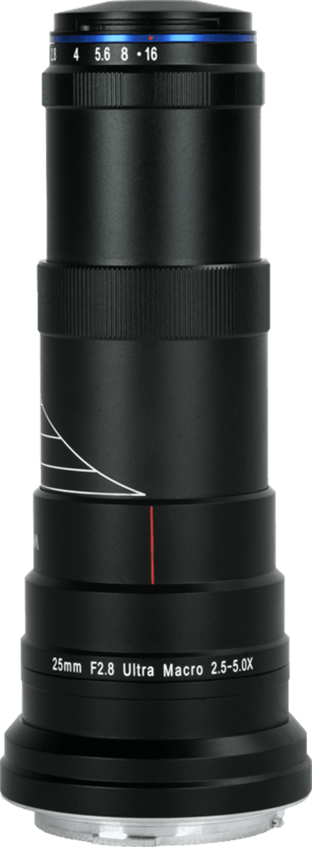 Laowa 25mm Ultra Macro Nikon Z Stjørdal Foto